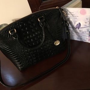 Brahmin medium Duxbury